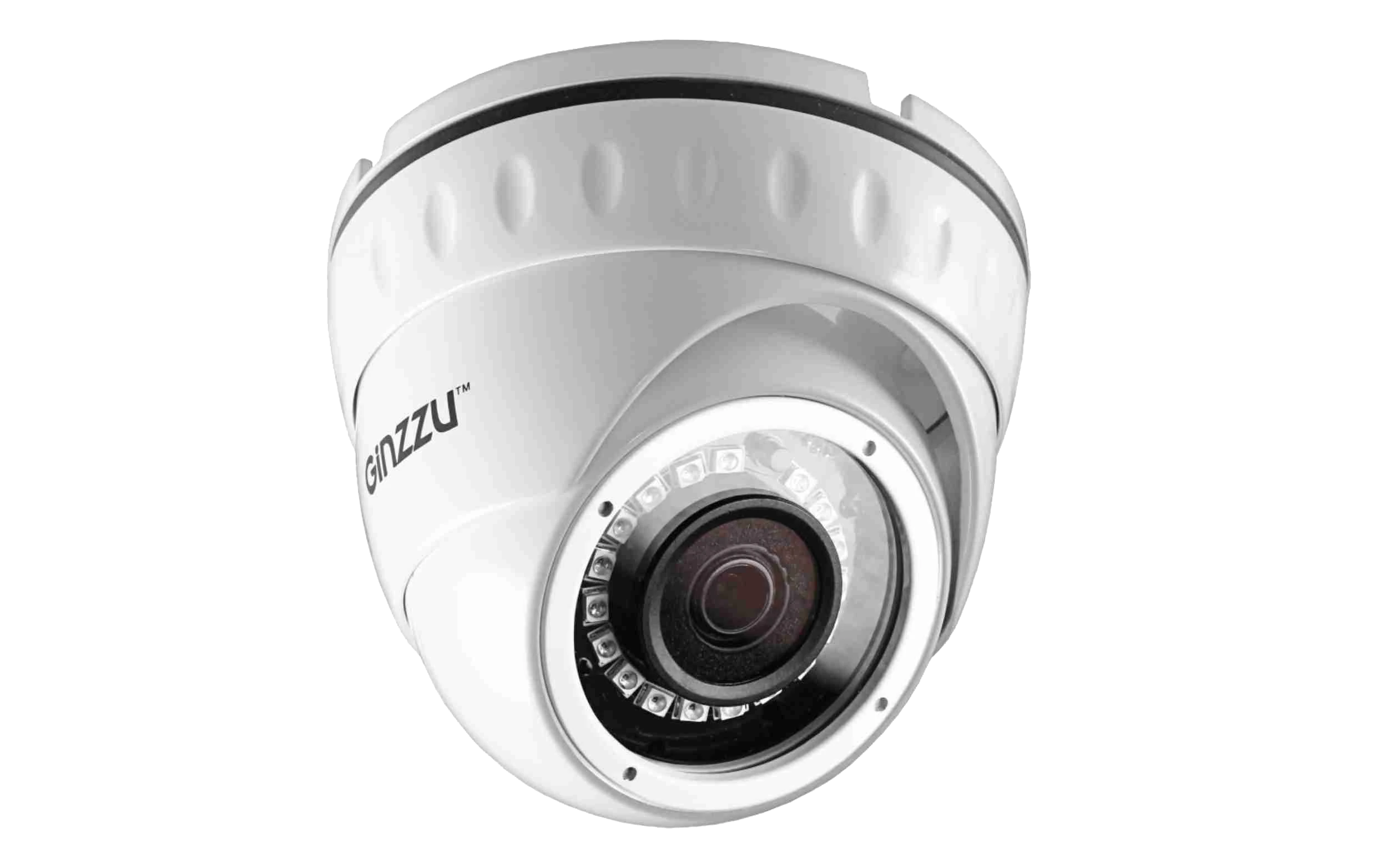 IP-камера Ginzzu hib-1331a
